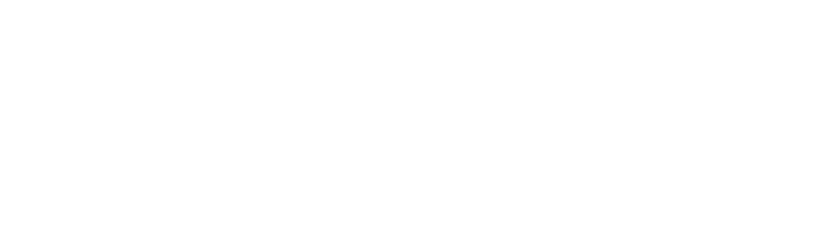 NSN Logo